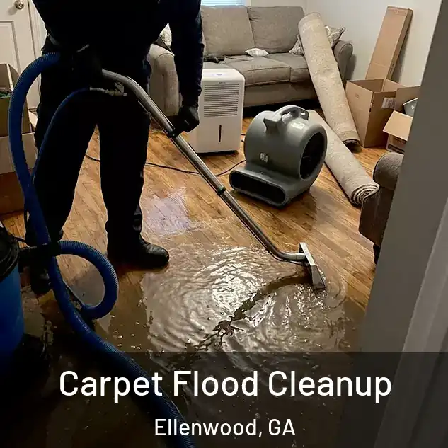  Carpet Flood Cleanup Ellenwood, GA