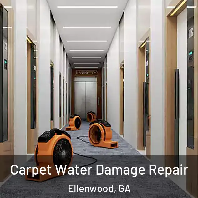  Carpet Water Damage Repair Ellenwood, GA