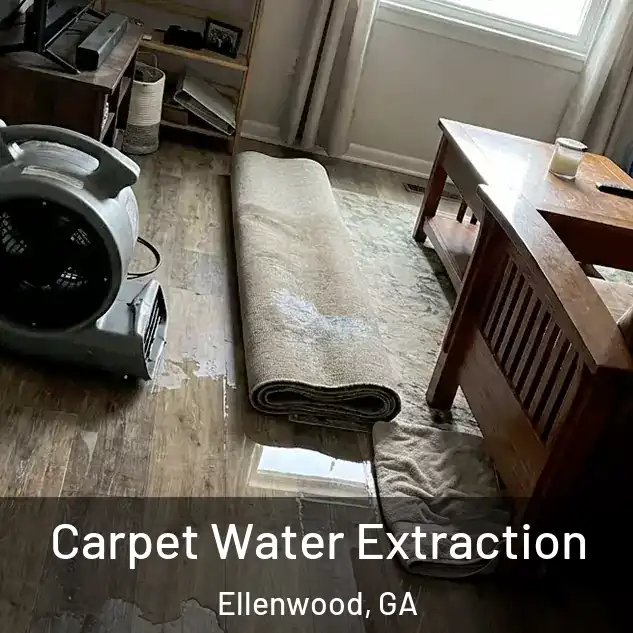  Carpet Water Extraction Ellenwood, GA