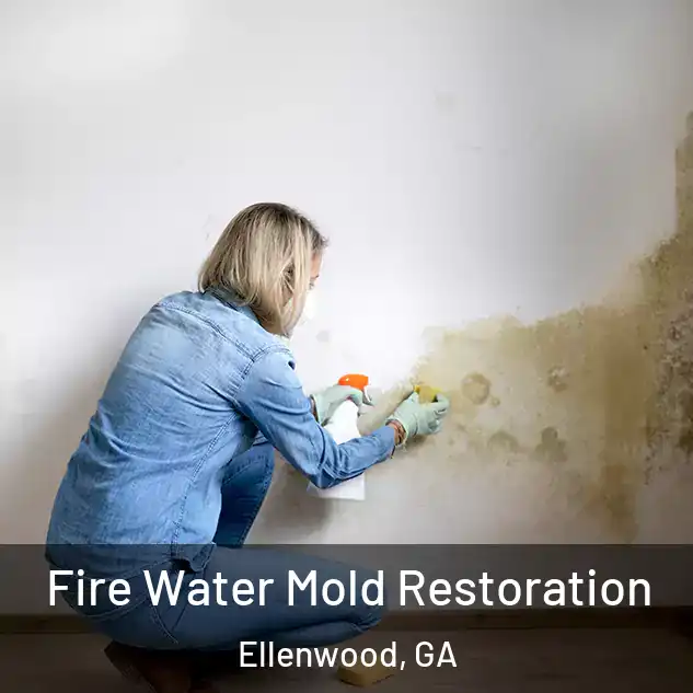  Fire Water Mold Restoration Ellenwood, GA
