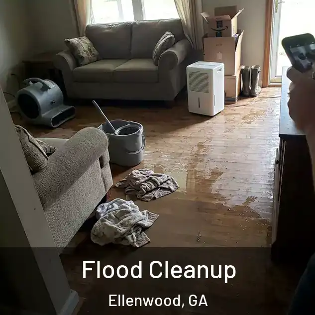  Flood Cleanup Ellenwood, GA