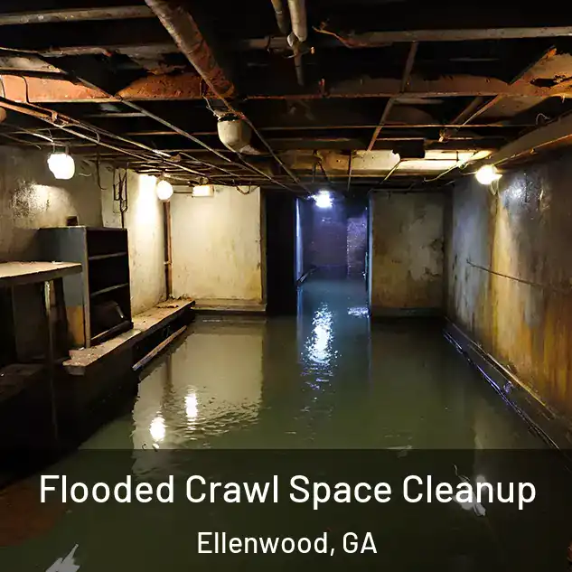  Flooded Crawl Space Cleanup Ellenwood, GA