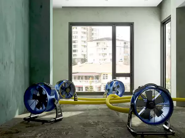 Water Removal Services in Ellenwood