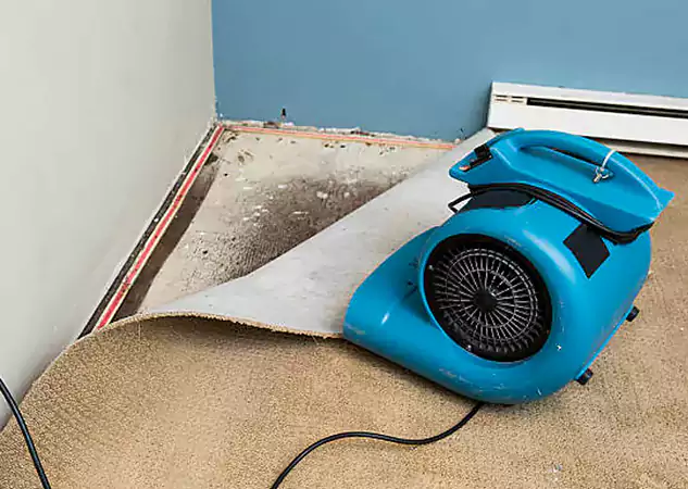 Your Water Damage Experts in Ellenwood, GA