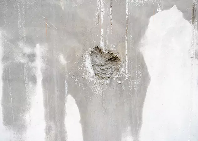 Your Mold Mitigation Solutions Partner in Ellenwood, GA