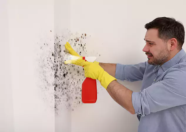 Your Water Mold Fire Restoration Partner in Ellenwood, GA