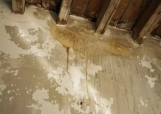 Your Trusted Restoration Company in Ellenwood, GA