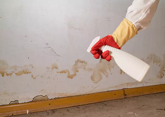 Your Water Restoration and Mold Remediation Specialists in Ellenwood, GA