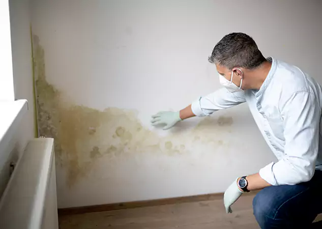 Reach Our Remediation Team Before Damage Grows in Ellenwood, GA!