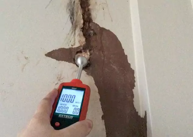 Your Water Damage Assessment Partner in Ellenwood, GA