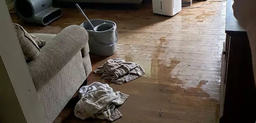 Professional Basement Water Remediation Services in Ellenwood, GA