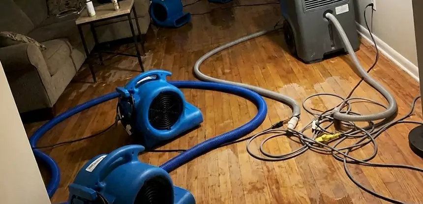 Basement Flood Restoration Services in Ellenwood