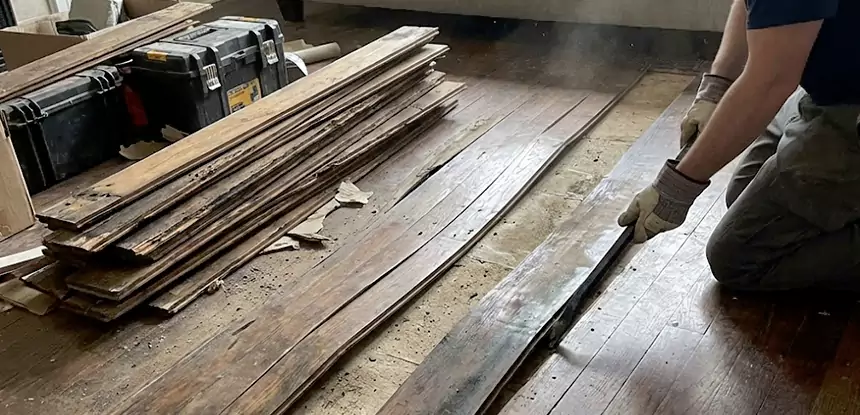 Wood Rot and Fungus Repair in Ellenwood