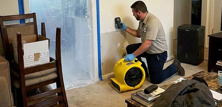Carpet Water Damage Repair Ellenwood