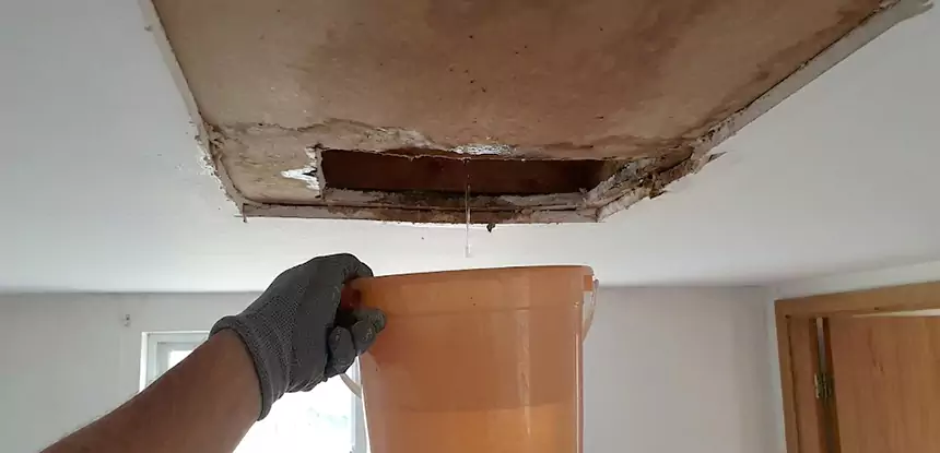 Ceiling Mold Repair Ellenwood 
