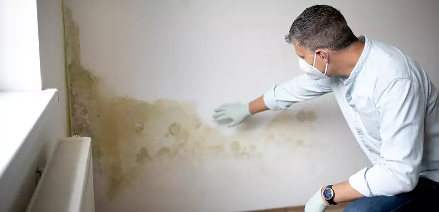 Mold and Water Damage Repair in Ellenwood