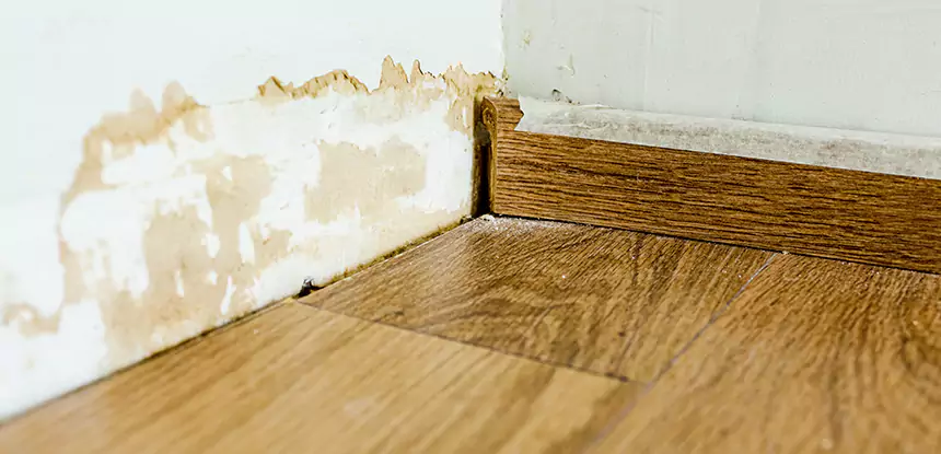Professional Fix Water Damaged Wood Services in Ellenwood, GA