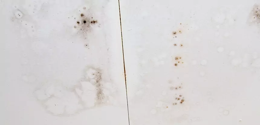 Professional Water Stain Repair Services in Ellenwood, GA