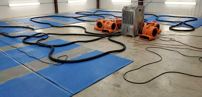 Professional Flooded Carpet Drying Services in Ellenwood, GA