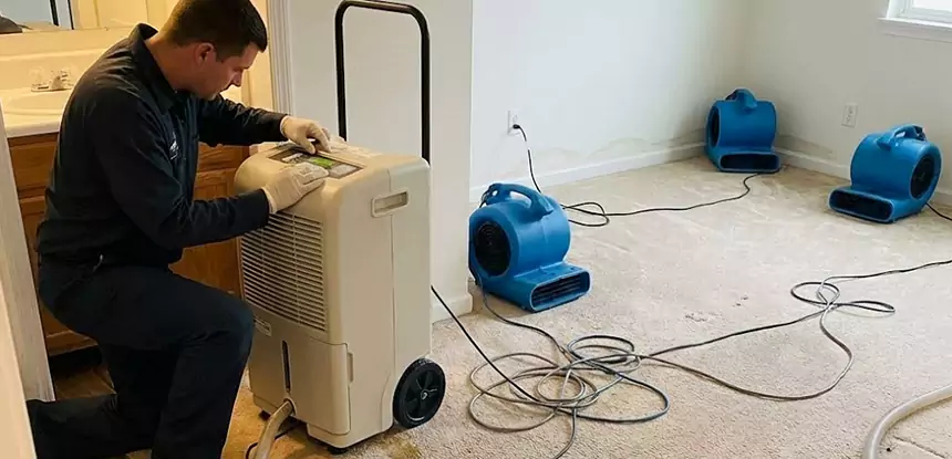 Professional Wet Carpet Removal Services in Ellenwood, GA