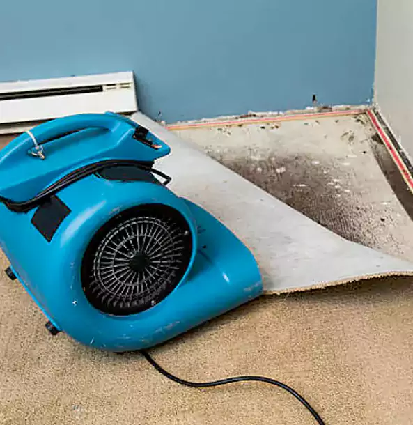 Why Ellenwood Trusts Ellenwood Restoration Pro for Carpet Flood Recovery?
