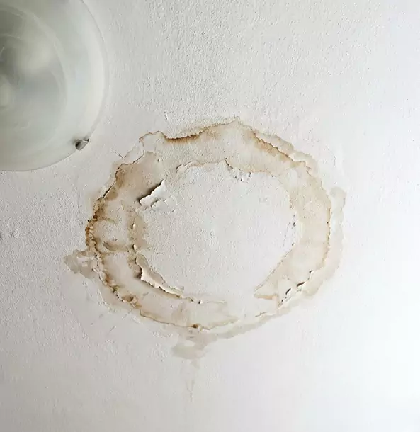 Why Ellenwood Property Owners Choose Ellenwood Restoration Pro for Ceiling Water Damage Restoration?
