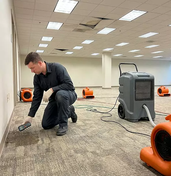 Why Ellenwood Businesses Choose Ellenwood Restoration Pro for Water Cleanup?