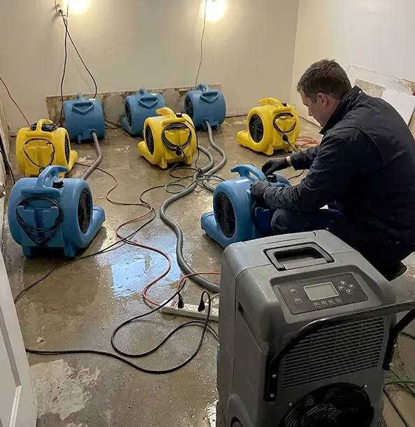 Why Ellenwood Businesses Trust Ellenwood Restoration Pro for Water Damage Response?