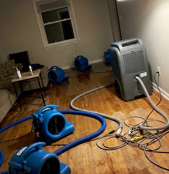Why Ellenwood Calls Ellenwood Restoration Pro First for Emergency Restoration?