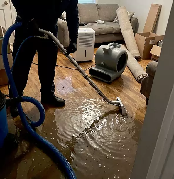 Why Ellenwood Trusts Ellenwood Restoration Pro for Flood Cleanup?