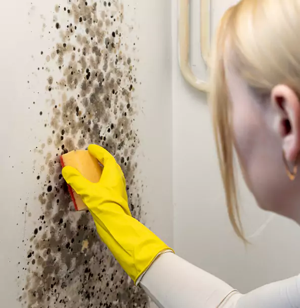 Why Ellenwood Restoration Pro Leads Mold Remediation in Ellenwood?