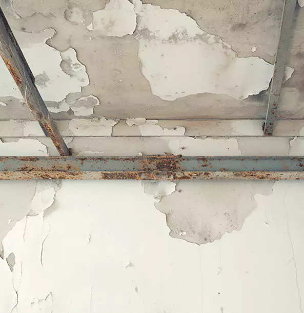 Why Ellenwood Restoration Pro Is the Right Choice in Ellenwood, GA?