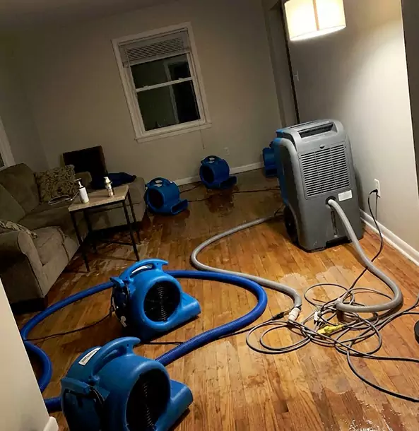 Why Ellenwood Property Owners Rely on Ellenwood Restoration Pro for Remediation?