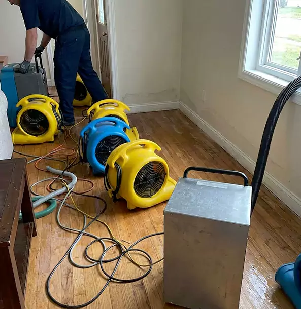 Why Ellenwood Property Owners Choose Ellenwood Restoration Pro for Remediation?