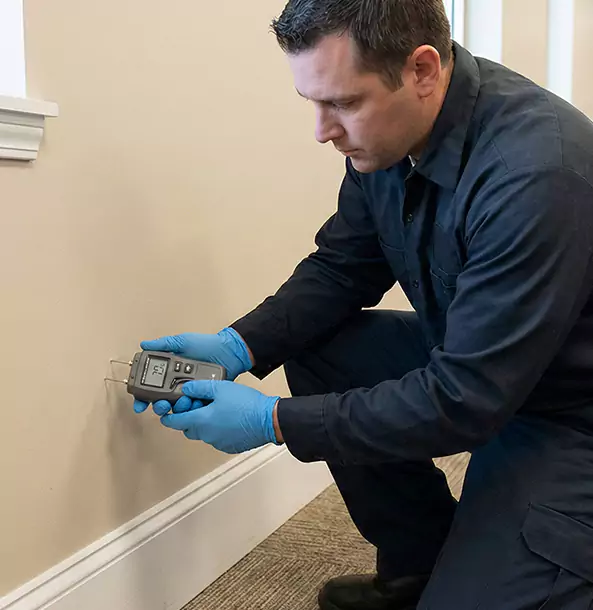 Why Ellenwood Property Owners Trust Ellenwood Restoration Pro for Leak Detection?