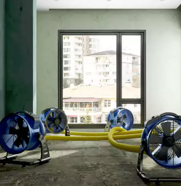 Why Ellenwood Property Owners Trust Ellenwood Restoration Pro for Water Damage Drying?