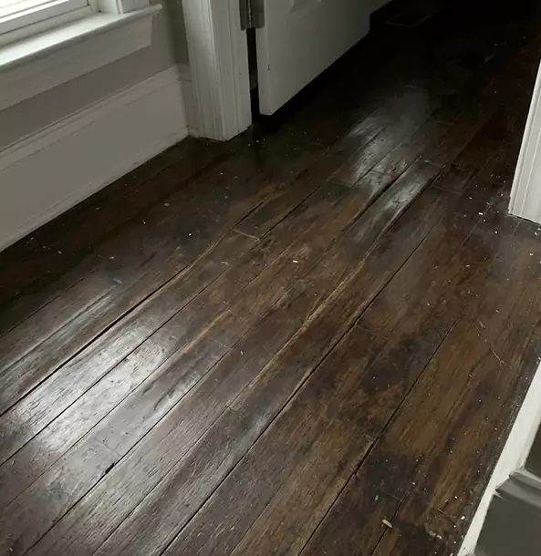 Why Ellenwood Homeowners Trust Ellenwood Restoration Pro to Fix Water Damaged Wood?