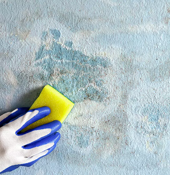 Why Ellenwood Restoration Pro Is the Right Choice in Ellenwood, GA?