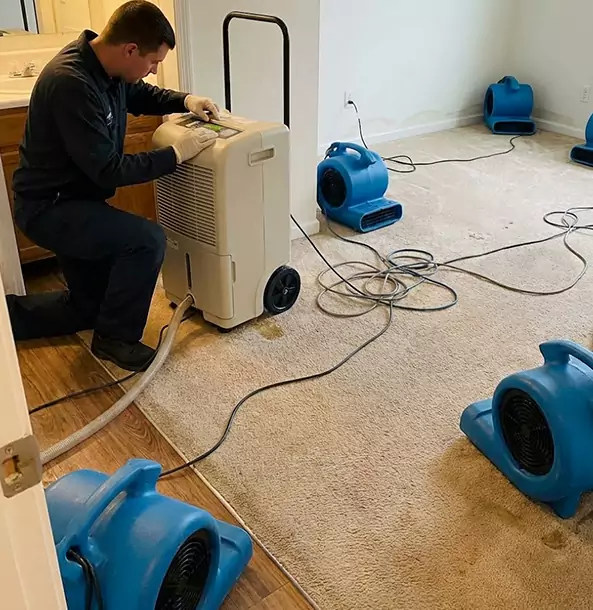 Why Ellenwood Homeowners and Businesses Trust Ellenwood Restoration Pro for Carpet Drying?