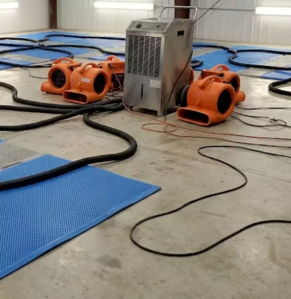 Why Ellenwood Homeowners and Businesses Choose Ellenwood Restoration Pro for Wet Carpet Removal?