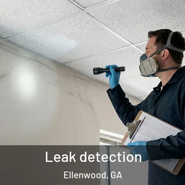  Leak detection Ellenwood, GA