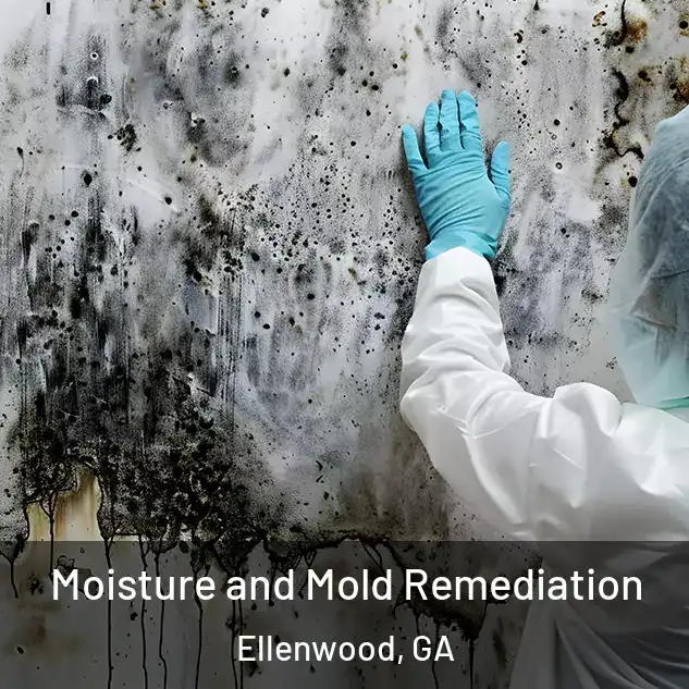  Moisture and Mold Remediation Ellenwood, GA