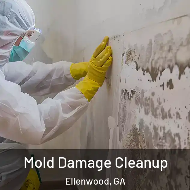  Mold Damage Cleanup Ellenwood, GA