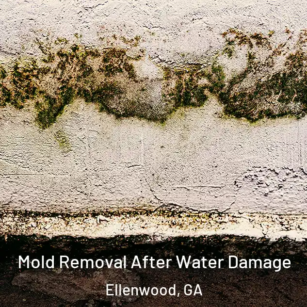  Mold Removal After Water Damage Ellenwood, GA