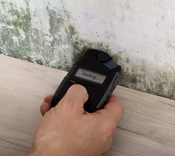 Mold Remediation Service Ellenwood