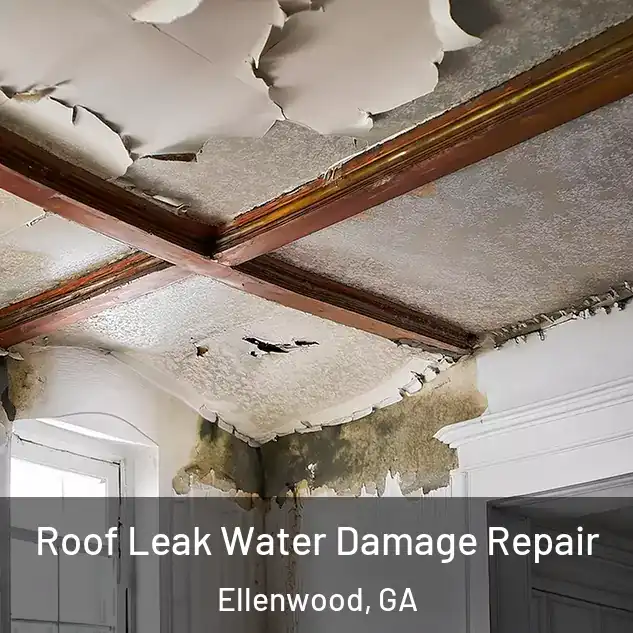  Roof Leak Water Damage Repair Ellenwood, GA