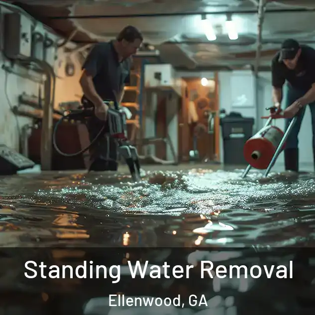  Standing Water Removal Ellenwood, GA