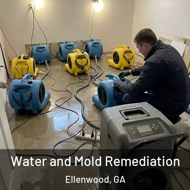  Water and Mold Remediation Ellenwood, GA