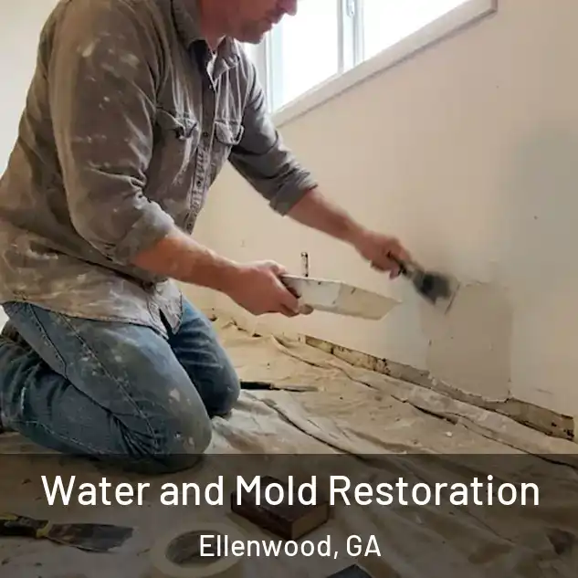  Water and Mold Restoration Ellenwood, GA