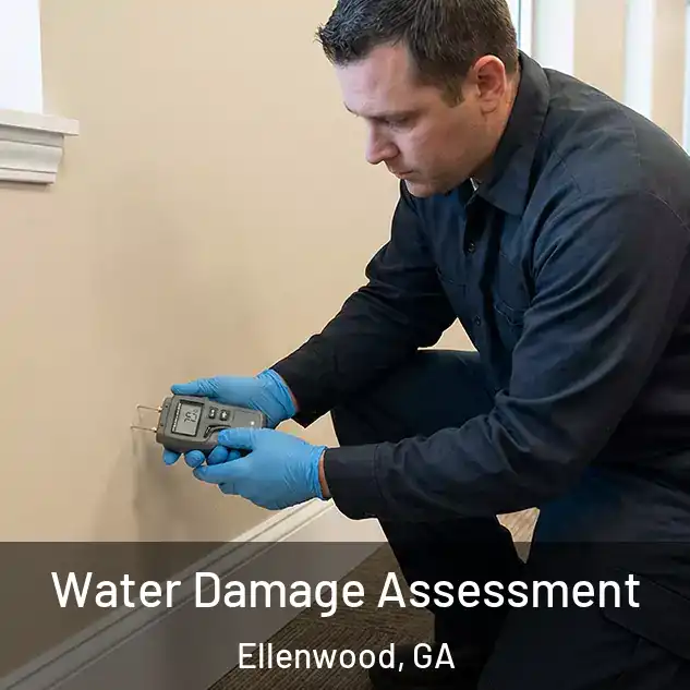  Water Damage Assessment Ellenwood, GA